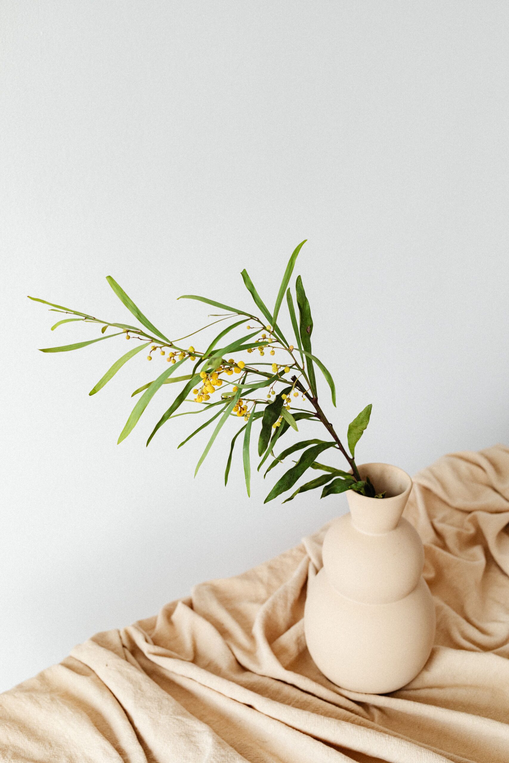 Neutral green nursery styling